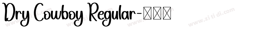 Dry Cowboy Regular字体转换